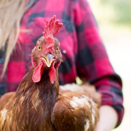 Woodstock Sustainable Farms 빌라 외부 사진