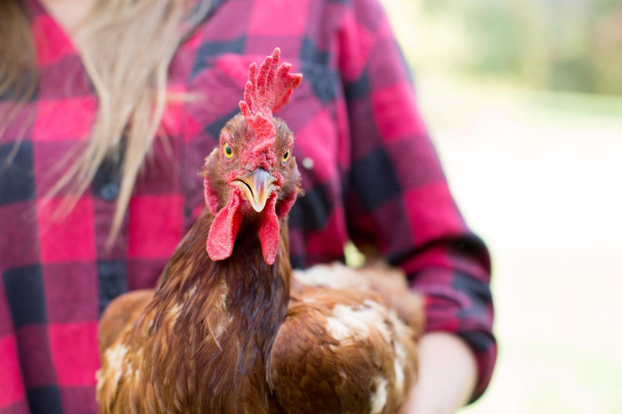 Woodstock Sustainable Farms 빌라 외부 사진